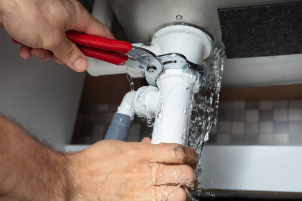 Best Ceiling water damage repair  in La Selva Beach, CA