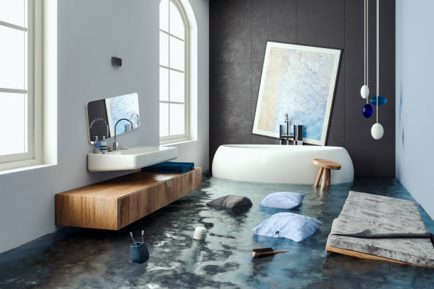 Water damage restoration mold remediation in La Selva Beach, CA