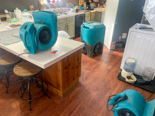 Best Flooded house restoration  in La Selva Beach, CA