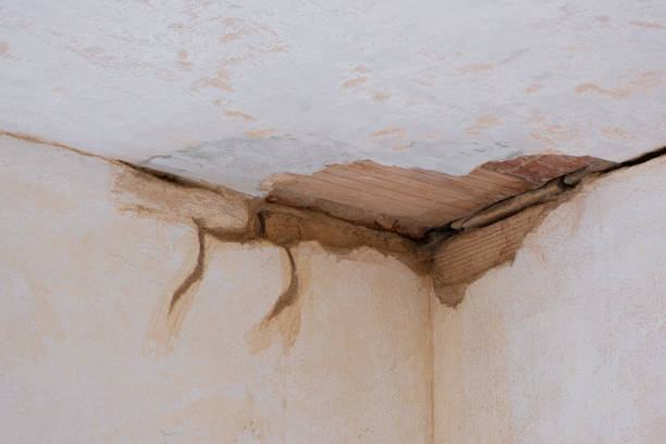 Best Carpet water damage restoration  in La Selva Beach, CA