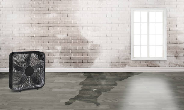 Best Professional water damage repair  in La Selva Beach, CA