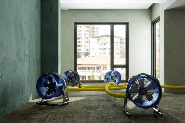 Best Water damage restoration near me  in La Selva Beach, CA