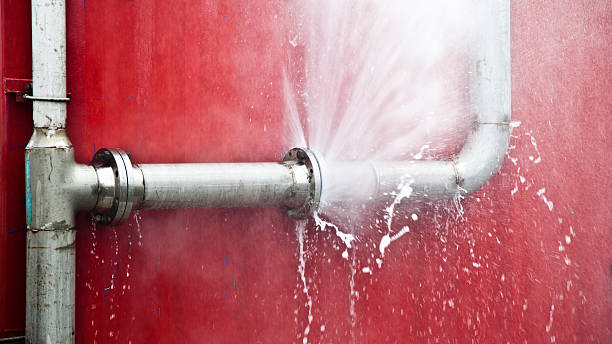 Best Mold removal after water damage  in La Selva Beach, CA